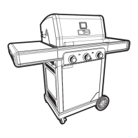 Preview: Char-Broil 463365124