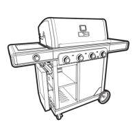 Preview: Char-Broil 463281024