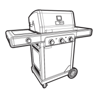 Preview: Char-Broil 463366724