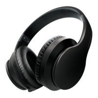 Preview: Brookstone SilentNX