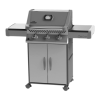 Preview: Napoleon P308