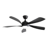 Fan Logo