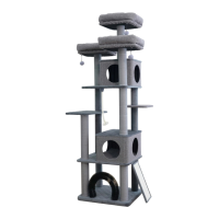 Preview: catry Kingdom-CT230997