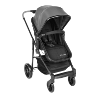 Preview: BEBE CONFORT Haze Trio