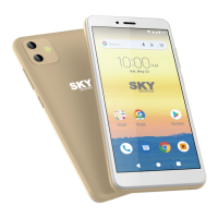 Preview: SKY DEVICES Elite P55