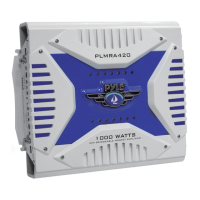 Preview: Pyle PLMRA220