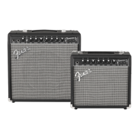 Preview: Fender CHAMPION II