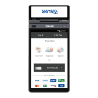 Preview: Valor VP800