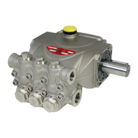 Preview: Interpump SW1