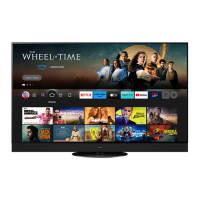 Preview: Panasonic TV-55 Z95 AEB