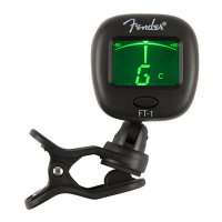 Preview: Fender FT-1 PRO