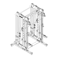 Preview: Barbarian line BBP-SDPR-GR-PL