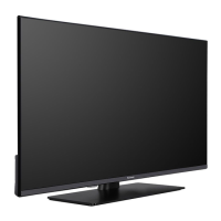 Preview: Panasonic TV-40 S55 AEY