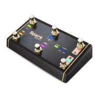 Preview: Positive Grid Spark Control X