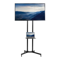 Preview: Vivo STAND-TV13 E