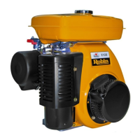 Preview: Robin EY15D