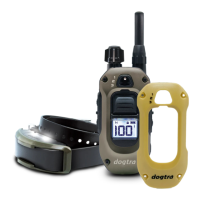 Preview: Dogtra 1900X