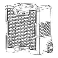 Preview: ION BLOCK ROCKER ICON