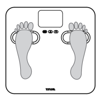 Preview: Taylor 5790F