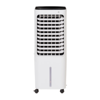 Preview: Bellus 602003