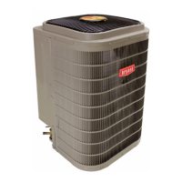 Preview: Bryant Evolution Extreme 191 VAN