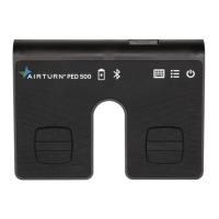 Preview: AirTurn PED500