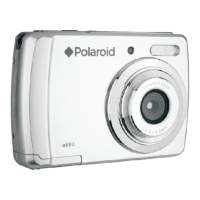 Preview: Polaroid a800