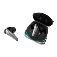 Preview: Laser GT96 ANC+ENC