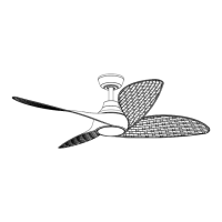 Preview: HAMPTON BAY FERNBROOKE 52