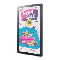 Preview: Philips Tableaux 25BDL4050I