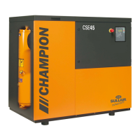 Preview: Champion CSE37