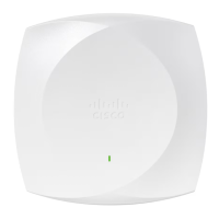 Preview: Cisco Wireless 9176I Series