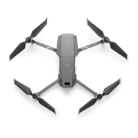 Preview: dji MAVIC 2 PRO