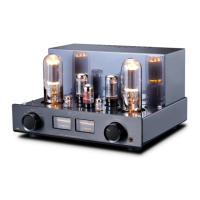 Preview: Cayin Jazz 100