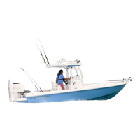 Preview: Everglades 243 CC