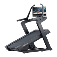 Preview: iFIT NordicTrack X24