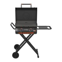 Preview: Black Stone 2015