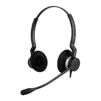 Preview: Jabra BIZ 2300