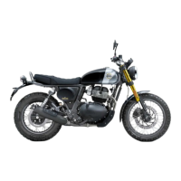 Preview: Interceptor Bear 650 2024