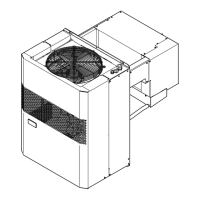 Preview: Zanotti MPS1107YA11A