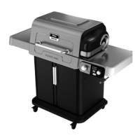 Preview: Ninja FLEXFLAME PG300 Series