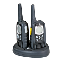 Preview: Motorola XTR446