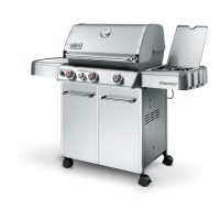 Preview: Weber GENESIS