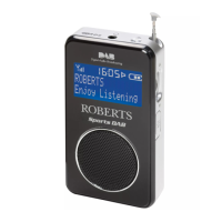 Preview: Roberts Sports DAB