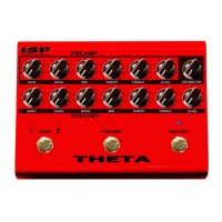 Preview: iSP Technologies THETA