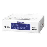 Preview: Sangean DCR-89+