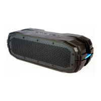 Preview: Braven BRV-X