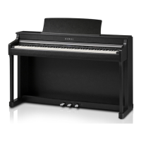 Preview: Kawai CN35