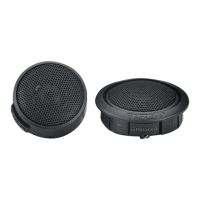 Preview: Pioneer TS-T110