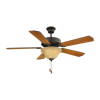 Fan Logo